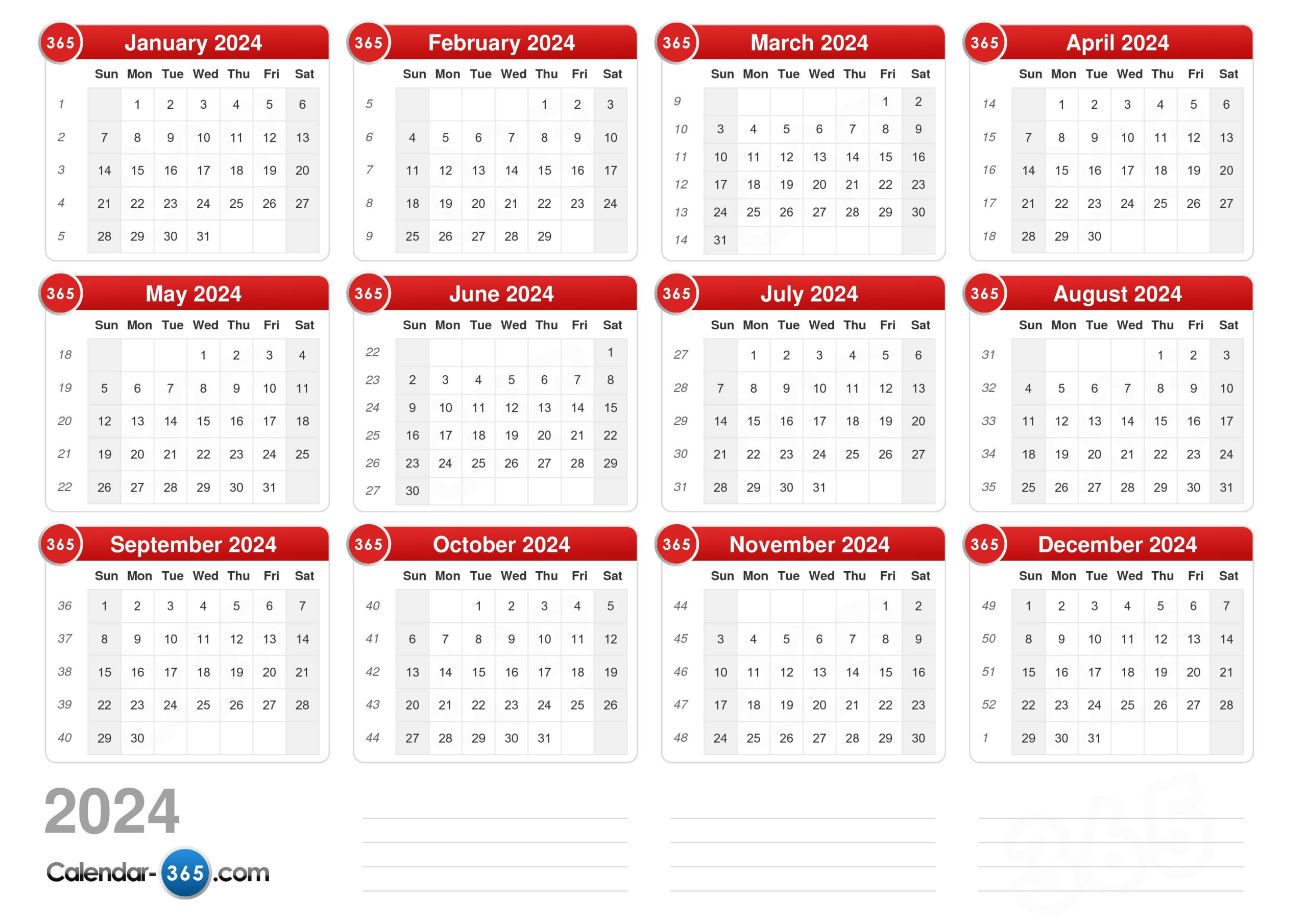 Leap Year 2024 Calendar 2024 Calendar Printable