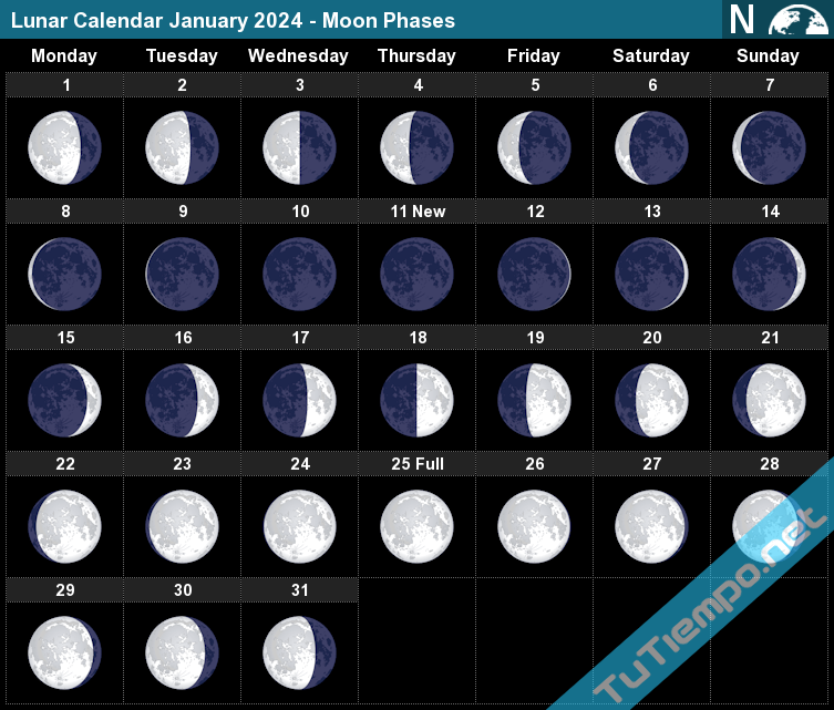 Lunar Calendar January 2024 Moon Phases 2024 Calendar Printable