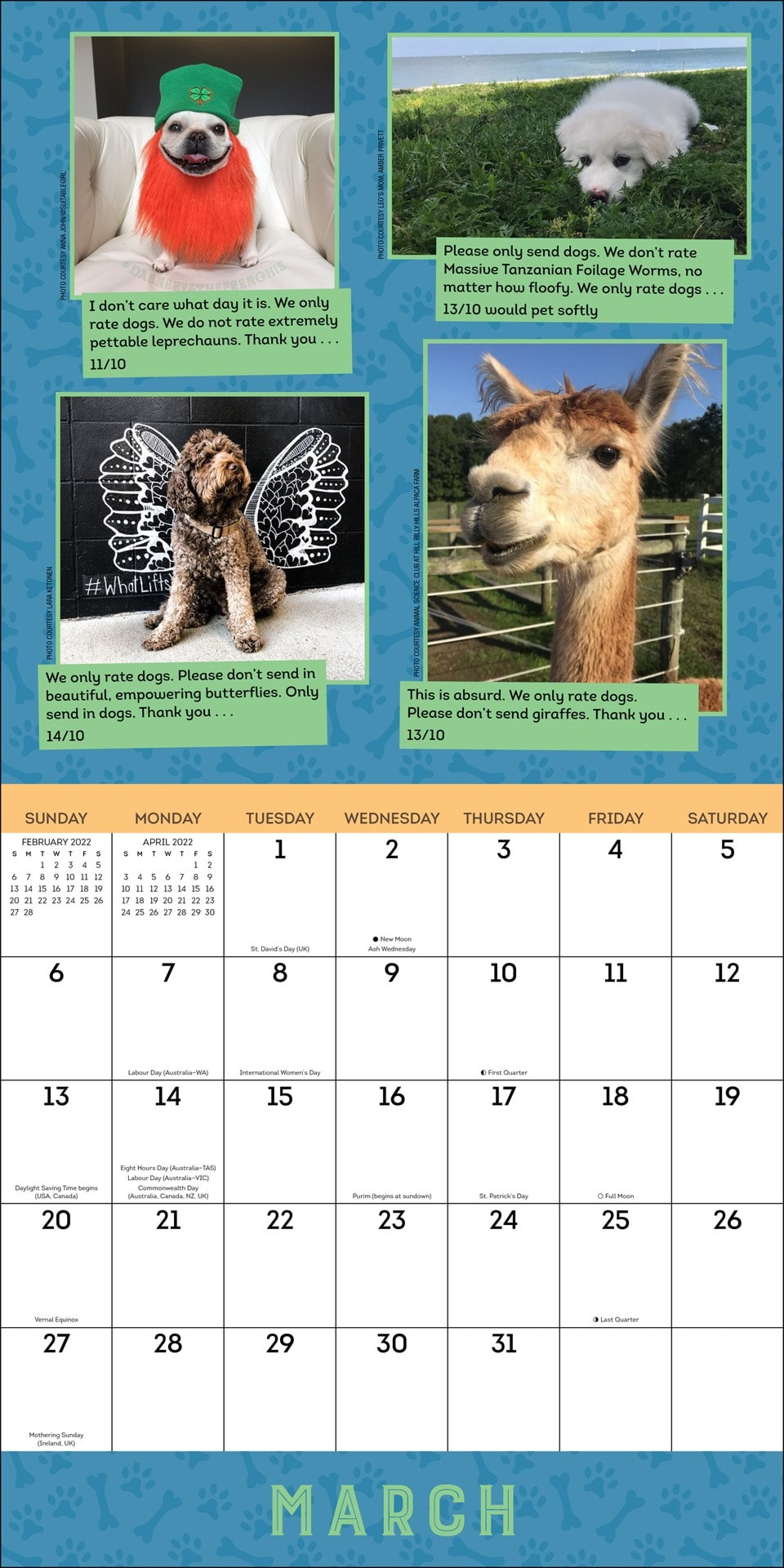 We Rate Dogs Calendar 2024 2024 Calendar Printable